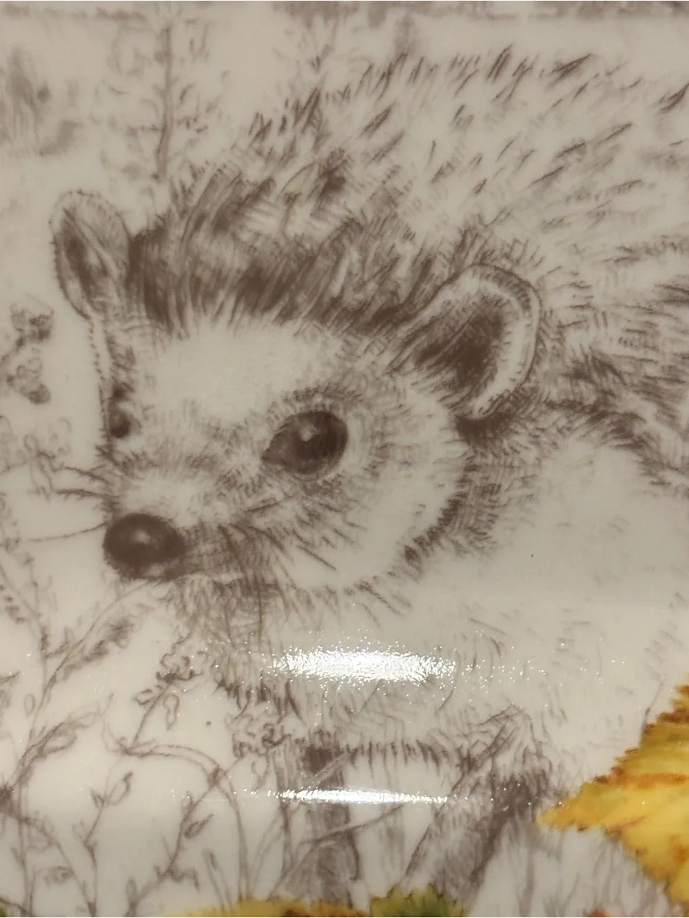 222 Fifth Birkhill Manor “Hedgehog” 8.5 Square Plate
